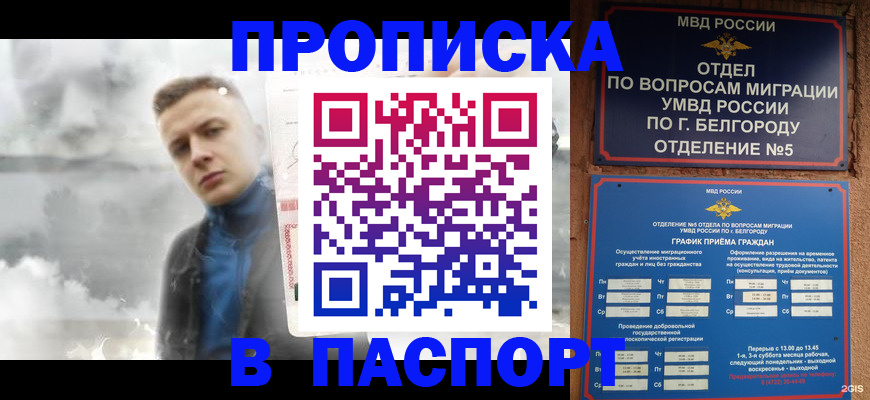 временная регистрация в Светлограде